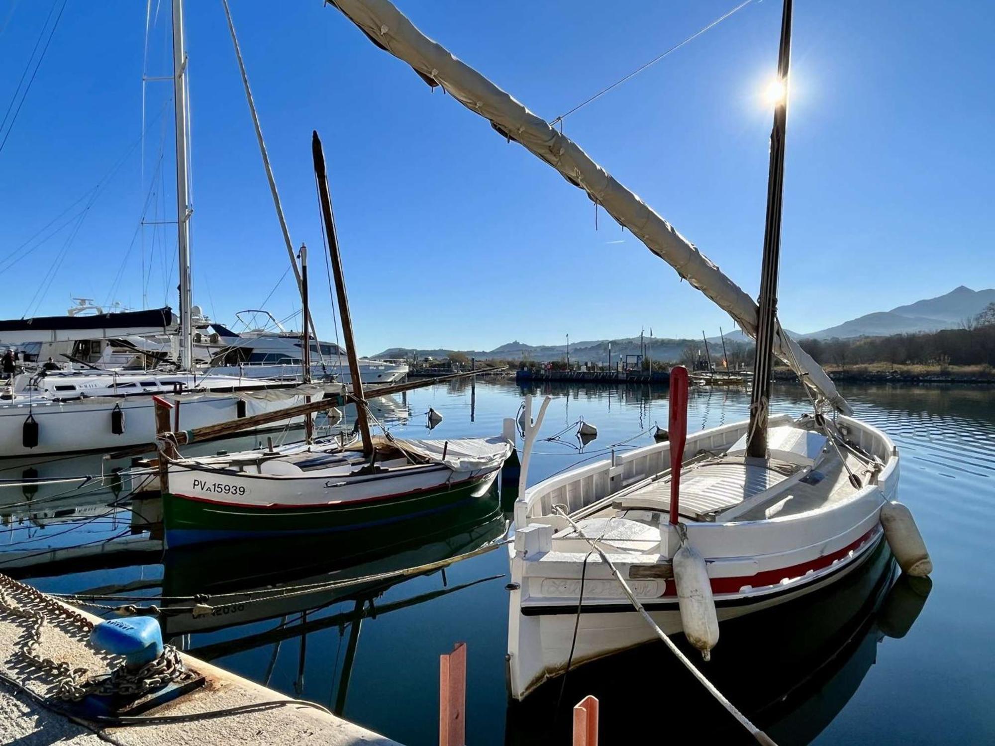 Appartement 2 Pieces, Balcon, Proche Plage Et Commerces, Quartier Calme - Argeles-Sur-Mer - Fr-1-225-685 外观 照片